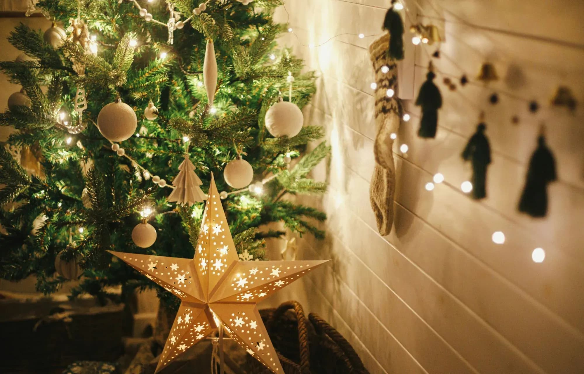 Finding Compassion Through the Festive Season